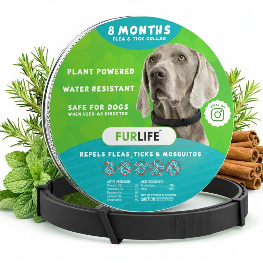 FurLife Flea and Tick Collar for Dogs - Waterproof Red Dog Collar, Pet Supplies for Tick and Flea Prevention for Dogs, Safe for All Breeds - Image 12