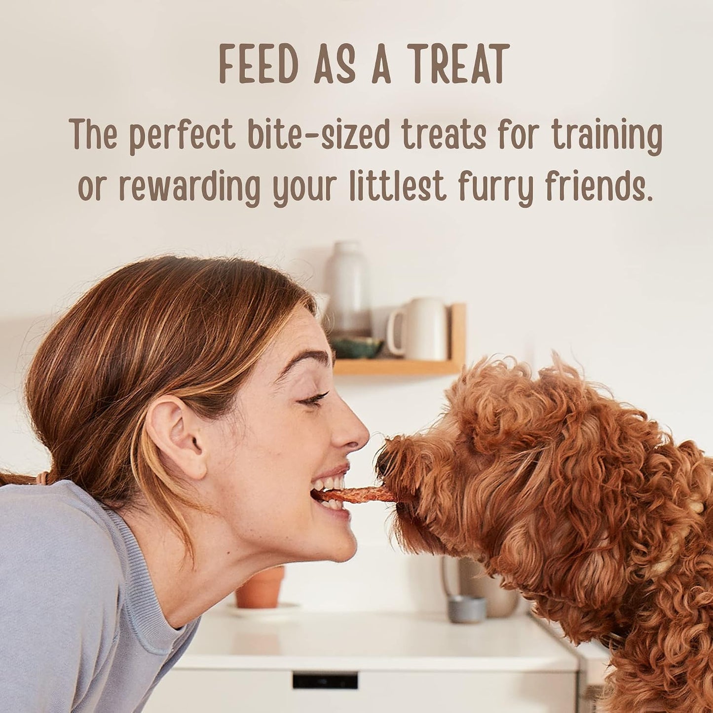 All natural slow cooked human grade beef savory dog treats bag