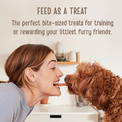 All natural slow cooked human grade beef savory dog treats bag