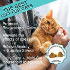 Chicken flavor soft chews for indoor cats stress support