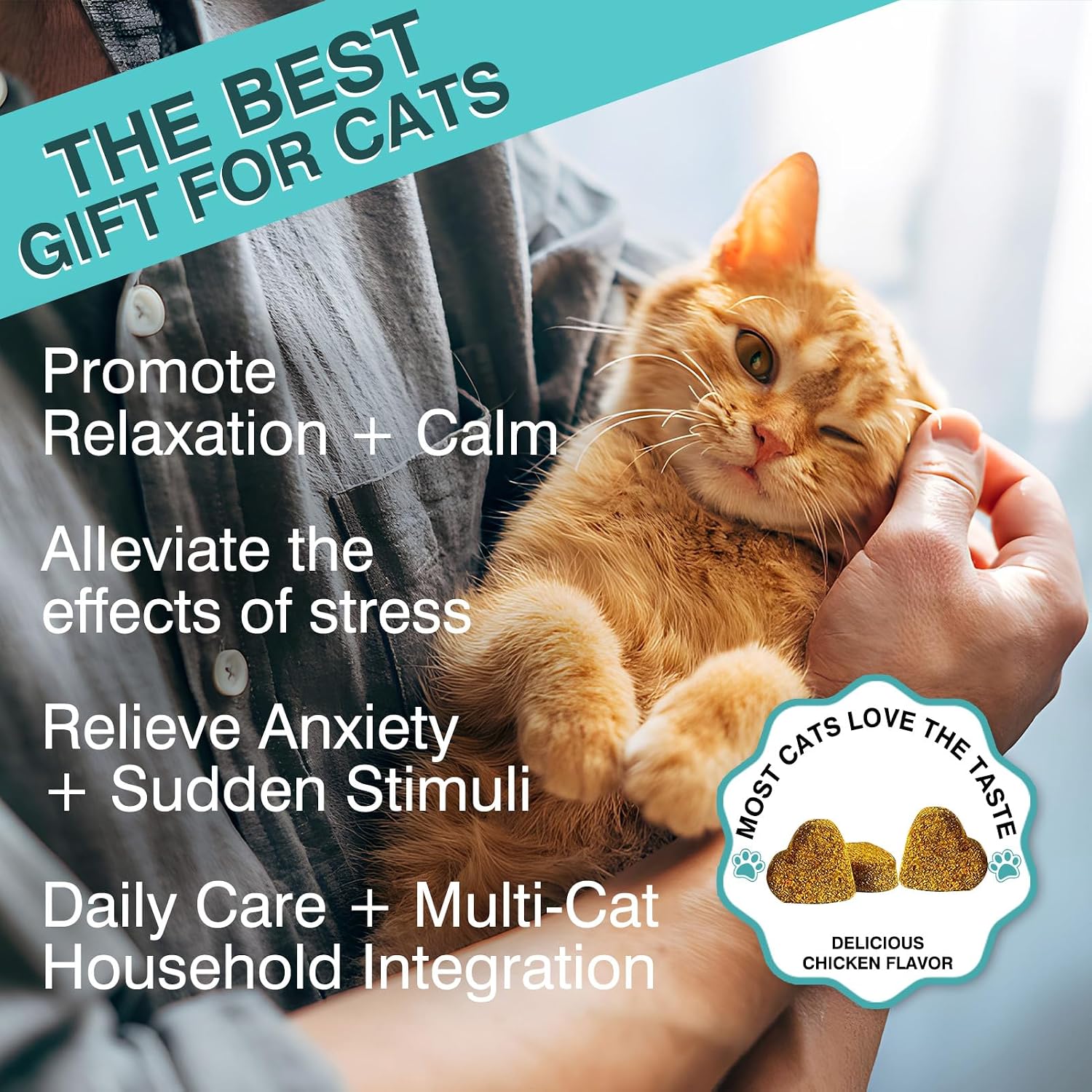 Chicken flavor soft chews for indoor cats stress support