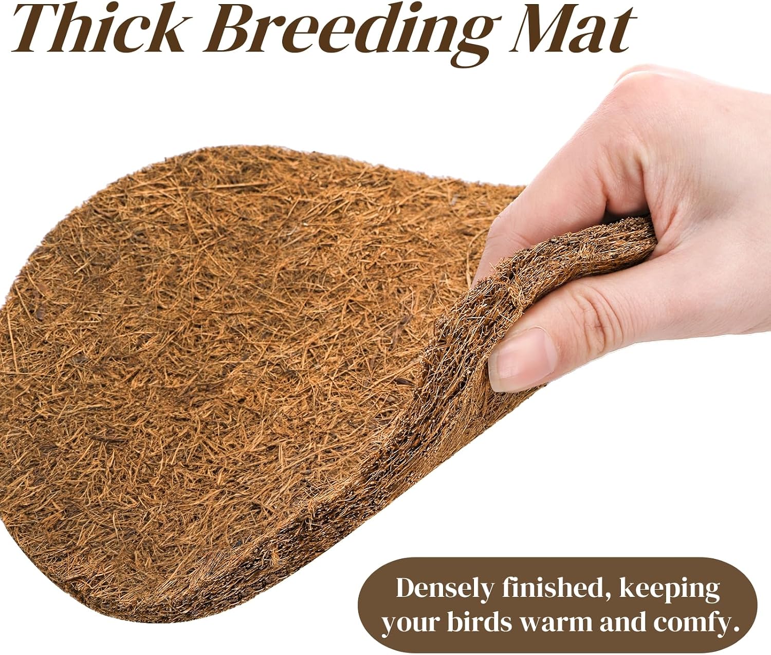 Eorbow coconut fiber mat inside a bird nesting bowl