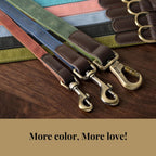 Premium imported dual tone pet leash with brown handle and green strap