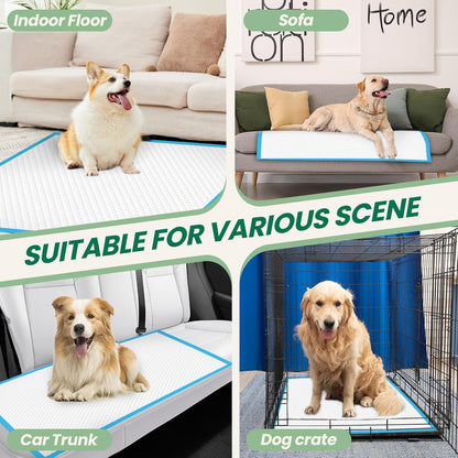 Diagram illustrating the six layer protection and quick dry gel core of IMMCUTE puppy pads.