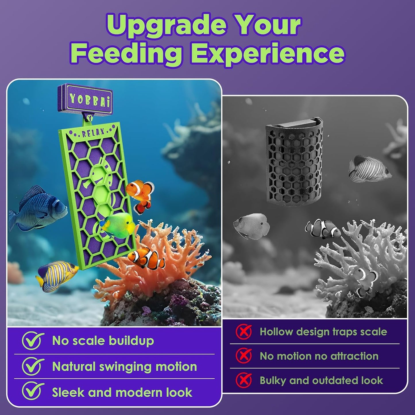 Purple tang feeding from YOBBAI magnetic seaweed clip in aquarium