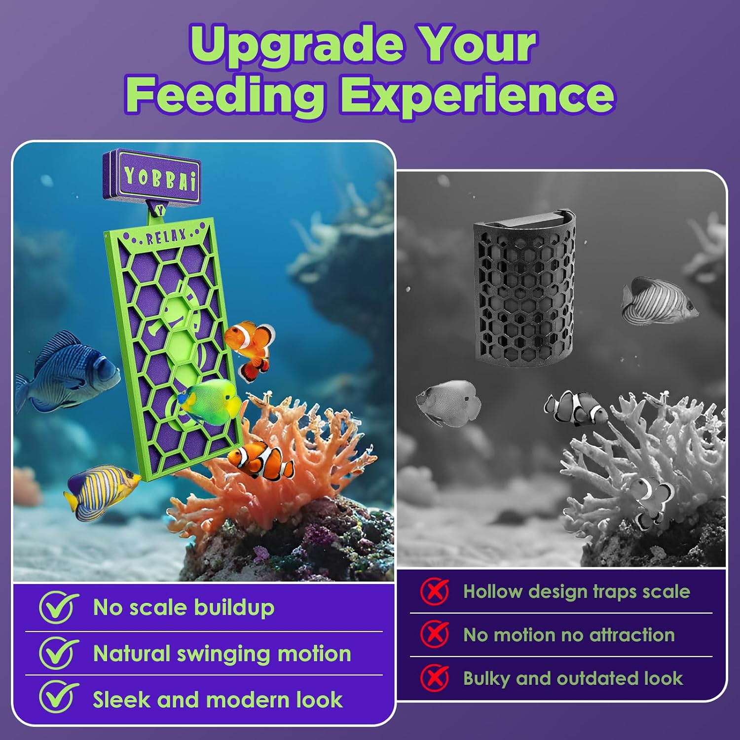 Purple tang feeding from YOBBAI magnetic seaweed clip in aquarium