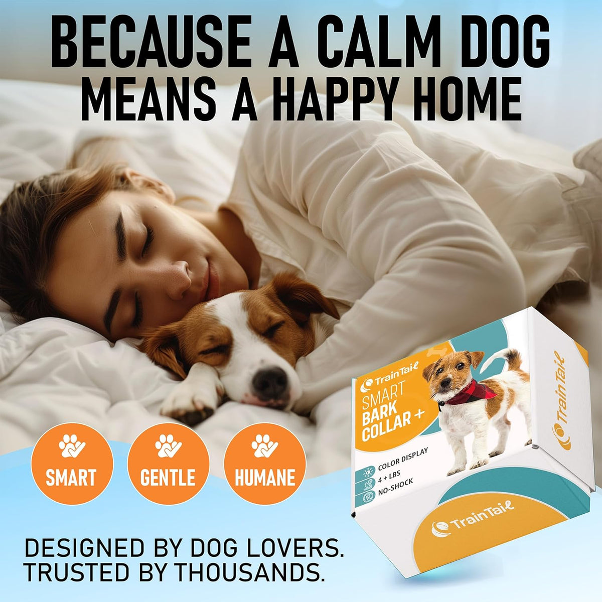 Small dog wearing Stopwoofer no shock training collar