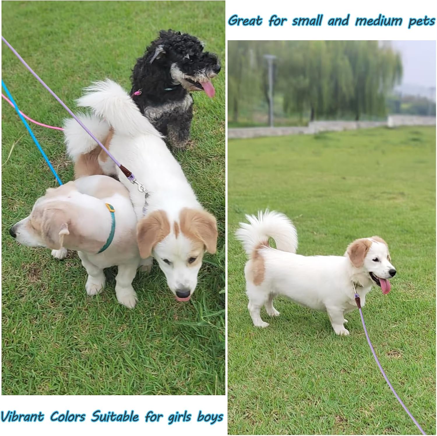 MayPaw 1/4 inch diameter rope leash texture