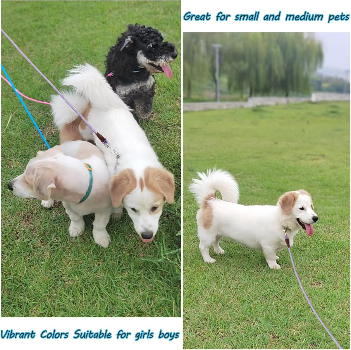 MayPaw 1/4 inch diameter rope leash texture