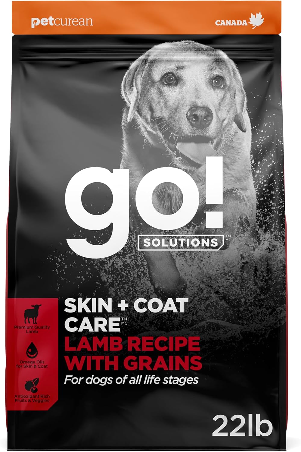 Go! Solutions Skin + Coat Care Salmon Dry Dog Food, 22 lb | With Grains, Supports Healthy, Hydrated Skin & Soft, Shiny Fur, Paw Pad Health & Digestion, For Puppies, Adults & Seniors - Image 11