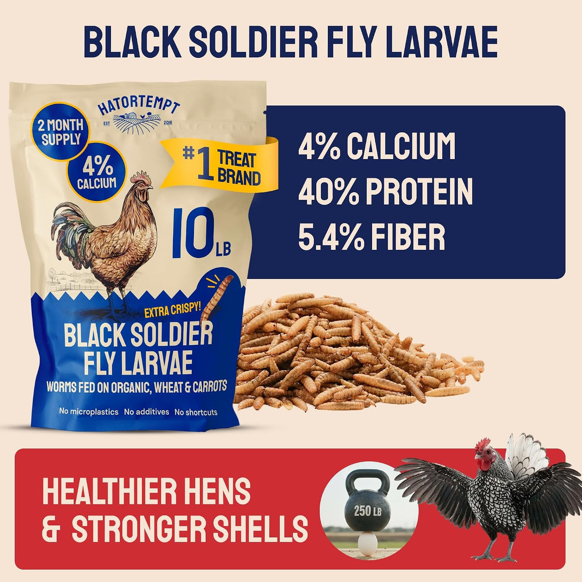 Close up of dried black soldier fly larvae showing natural texture