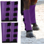Wizbrio imported equine fly leggings high airflow mesh material packaging