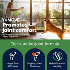 YuMOVE pet supplement jar showing active ingredients like green lipped mussel