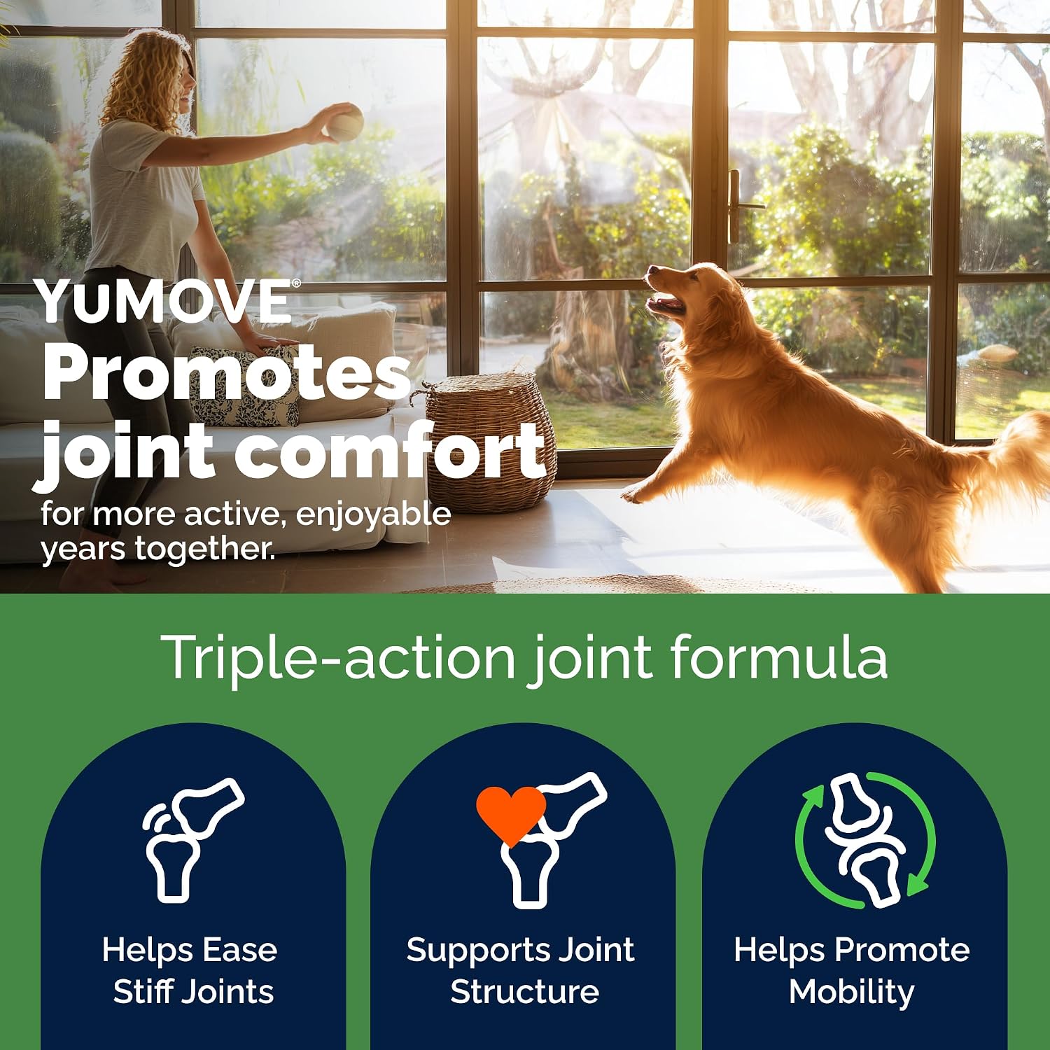 YuMOVE pet supplement jar showing active ingredients like green lipped mussel