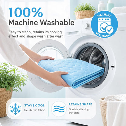 Lightweight washable pet cushion placed inside a plastic cat travel carrier