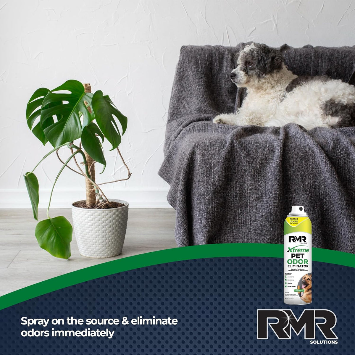 Using RMR Xtreme spray on a pet bed