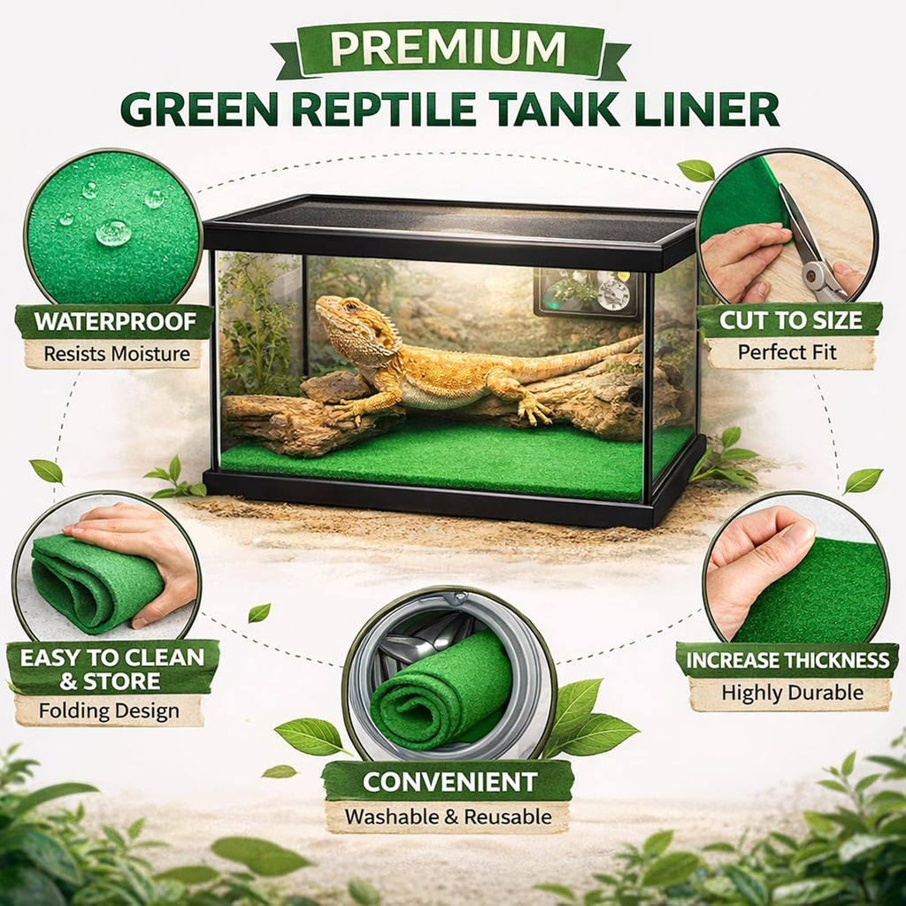 Mechpia reptile carpet cut to fit inside a bearded dragon enclosure setup