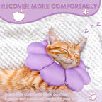 Tabby cat wearing ANWA soft donut recovery cone while resting