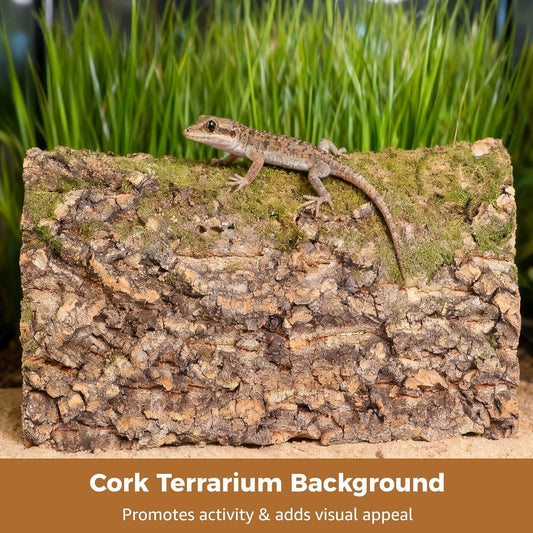 Four pieces of reptile cork bark mat displayed side by side
