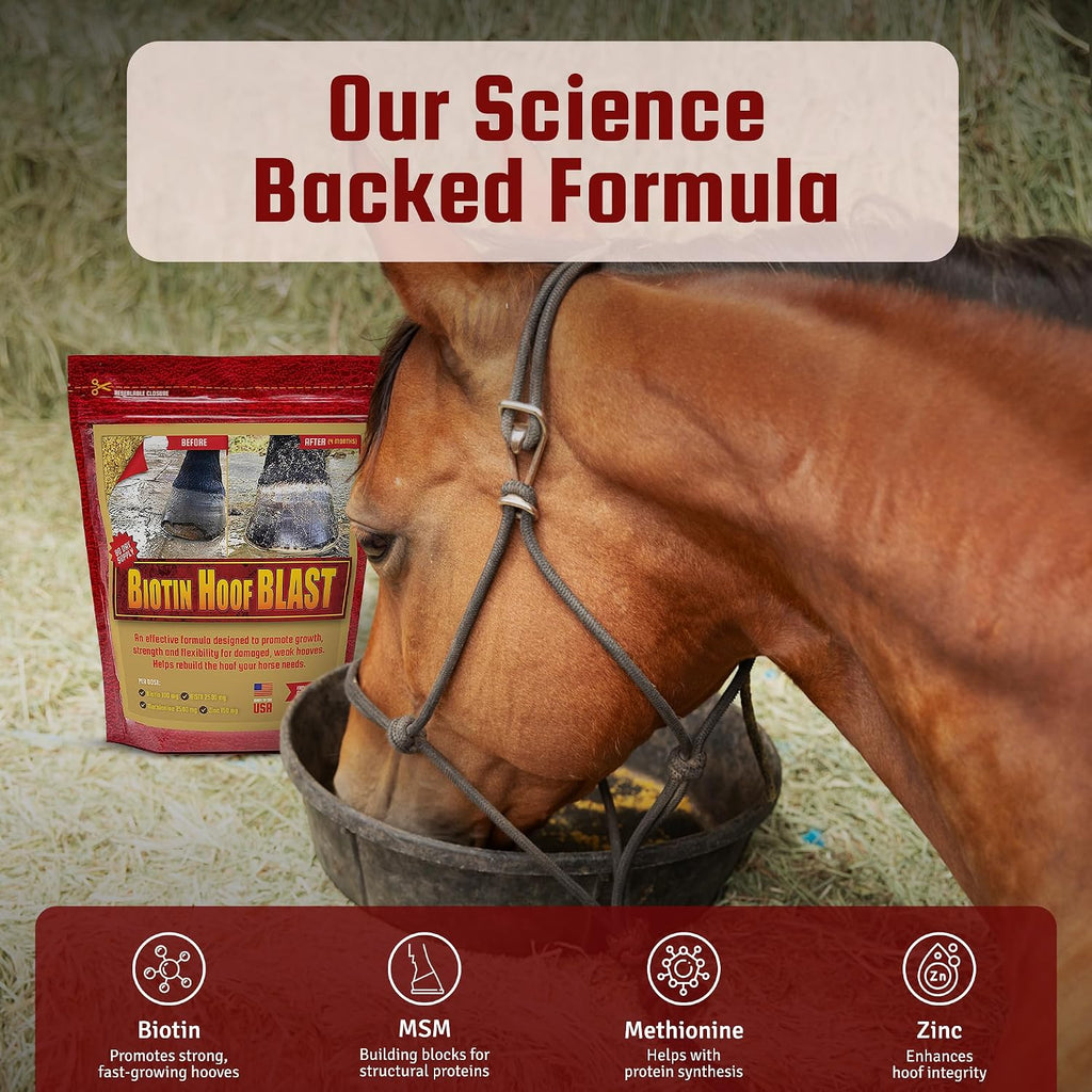 Biotin Hoof Blast eighty servings horse supplement nutritional facts