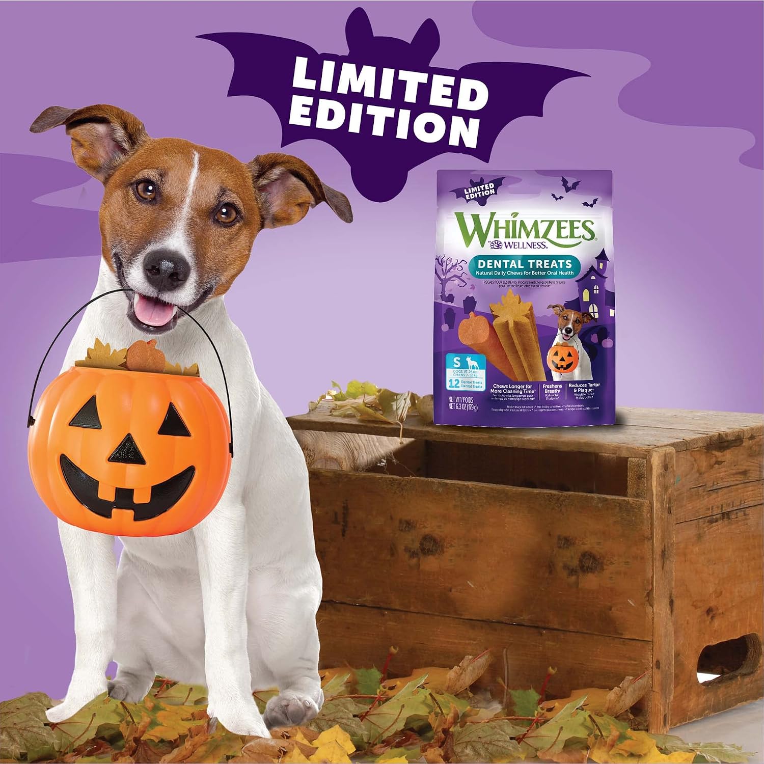 Small dog enjoying a Whimzees dental chew