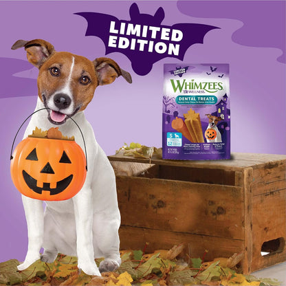 Small dog enjoying a Whimzees dental chew