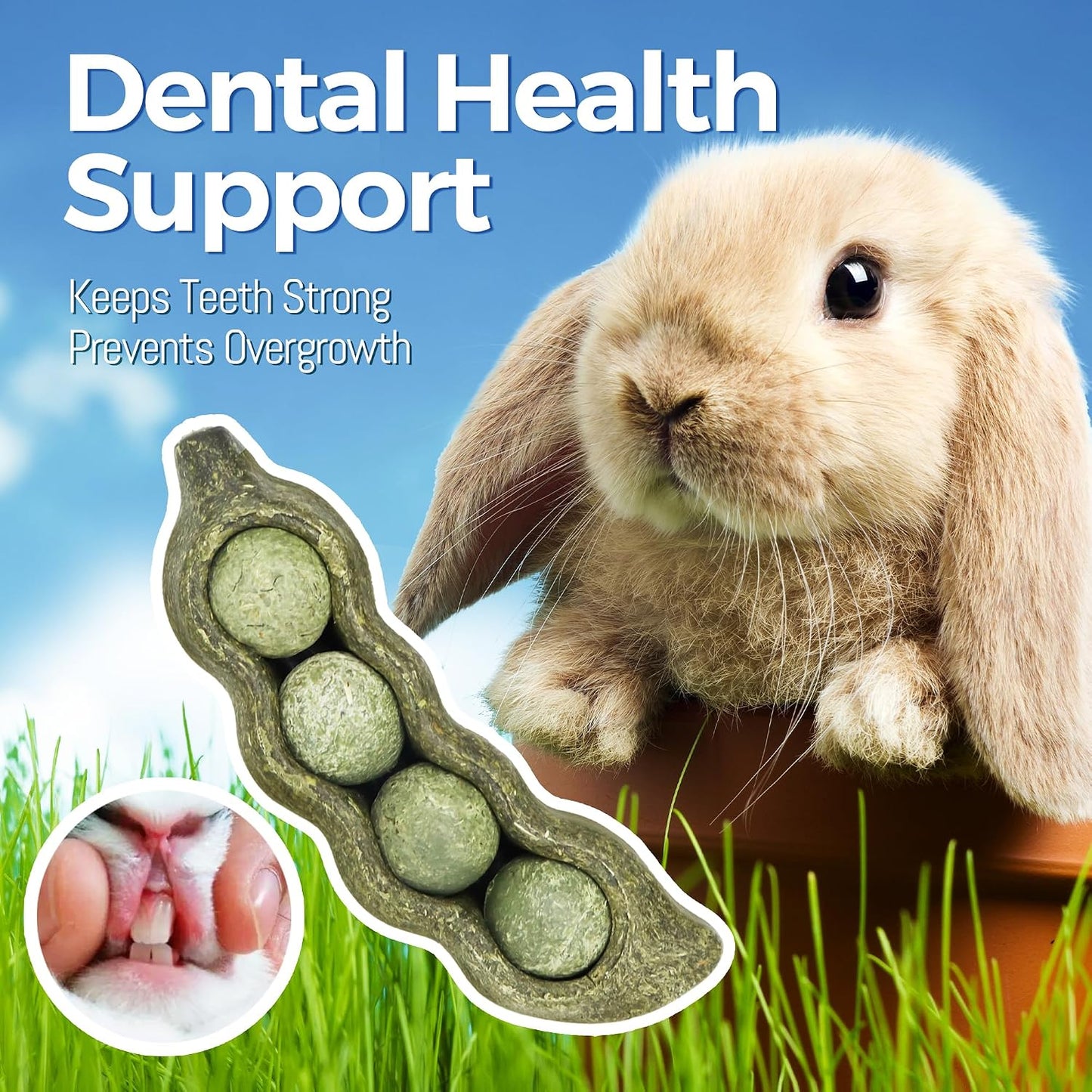 Teewy hamster chew toys packaging showing ingredients like Timothy grass and alfalfa.