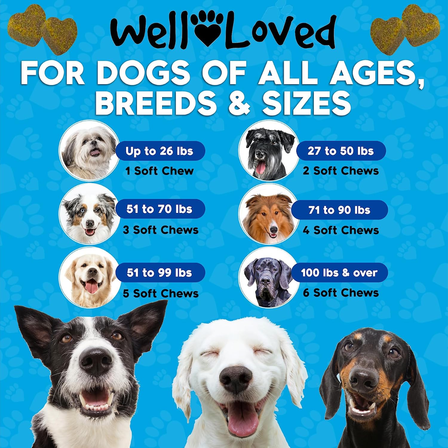 Grain free pet behavior support treats for fireworks and thunderstorm anxiety