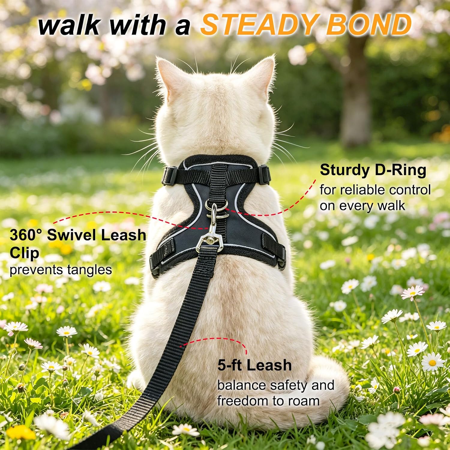 BEAUTYZOO black suit design small cat harness on a white background