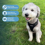 Best Pet Supplies black harness close up of D-ring attachment