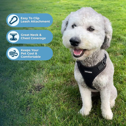 Best Pet Supplies black harness close up of D-ring attachment