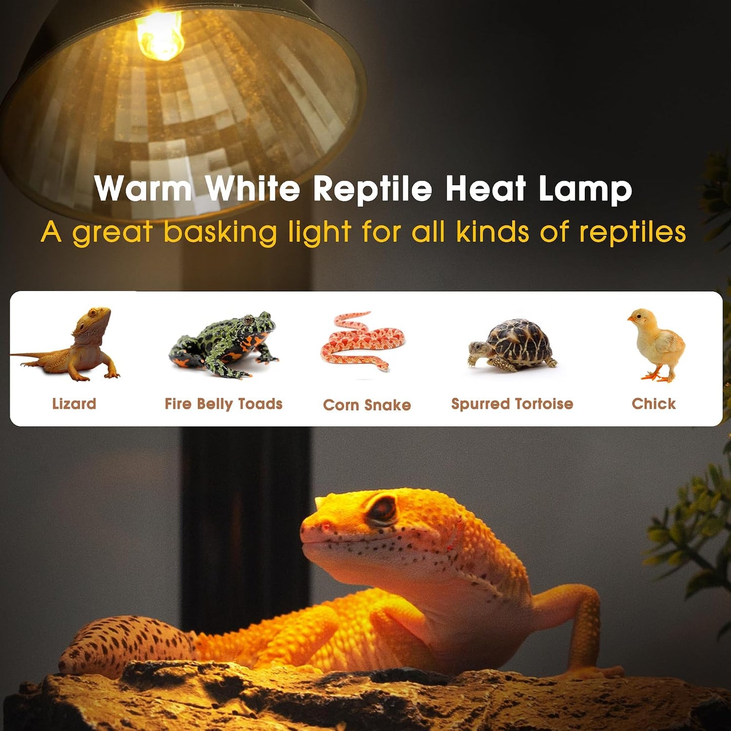Briignite fifty watt G9 halogen basking light bulb replacement for reptile enclosures.