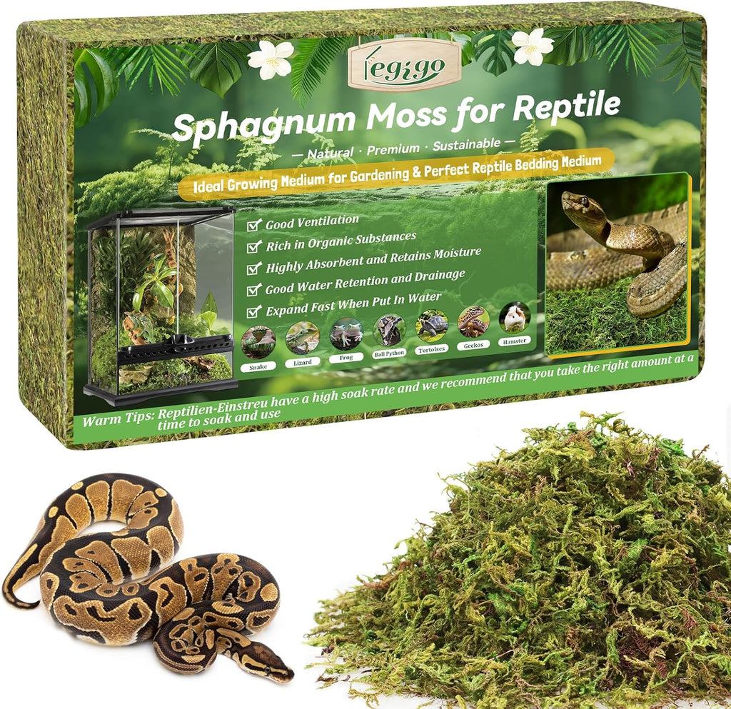 Amphibian habitat setup using organic sphagnum moss