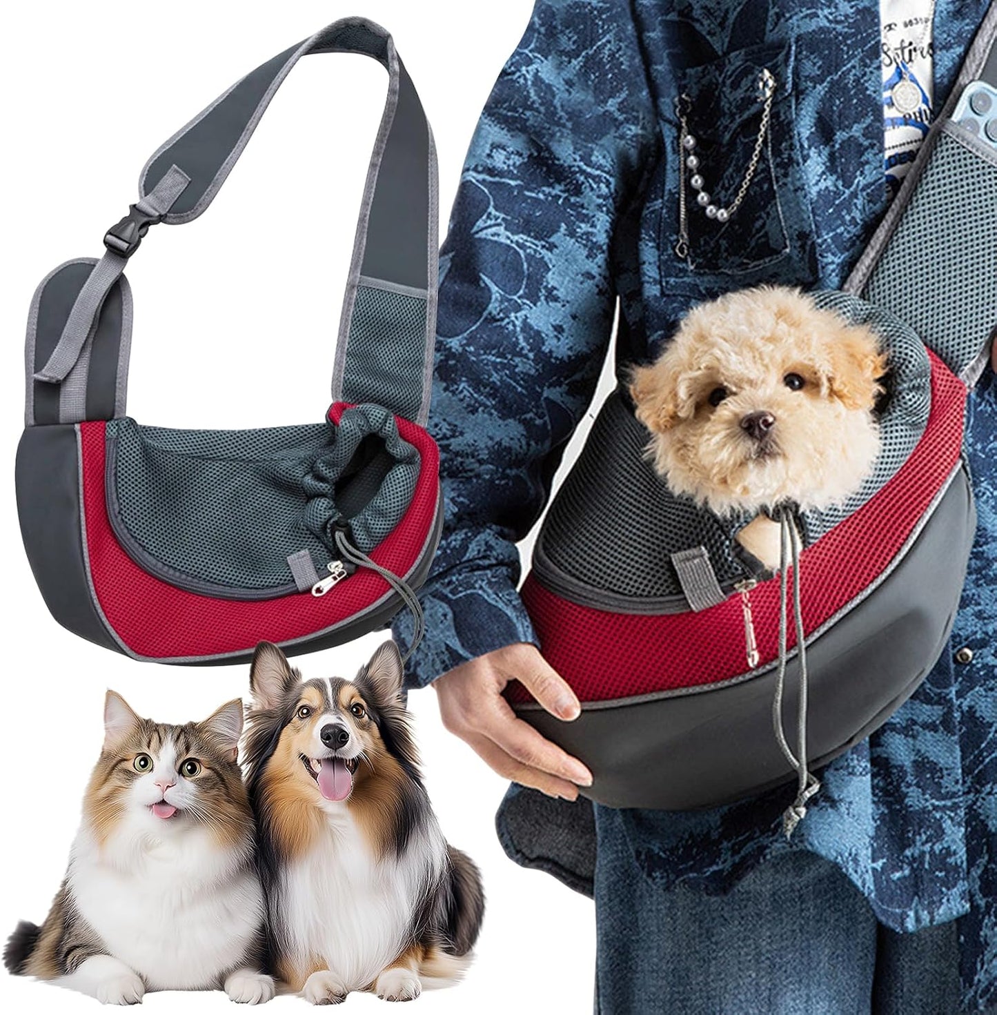 Small cat resting inside breathable sling bag
