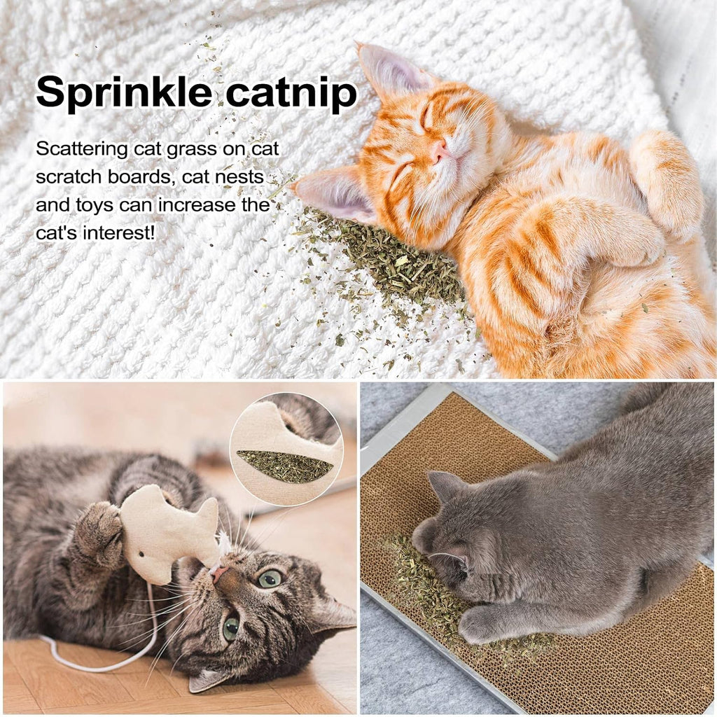 Airtight seal packaging showcasing fifty grams of cat grass treat.