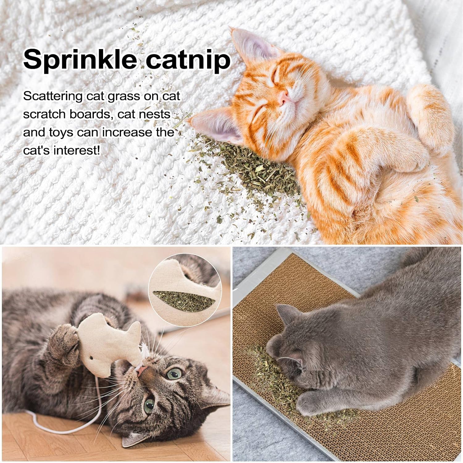 Airtight seal packaging showcasing fifty grams of cat grass treat.