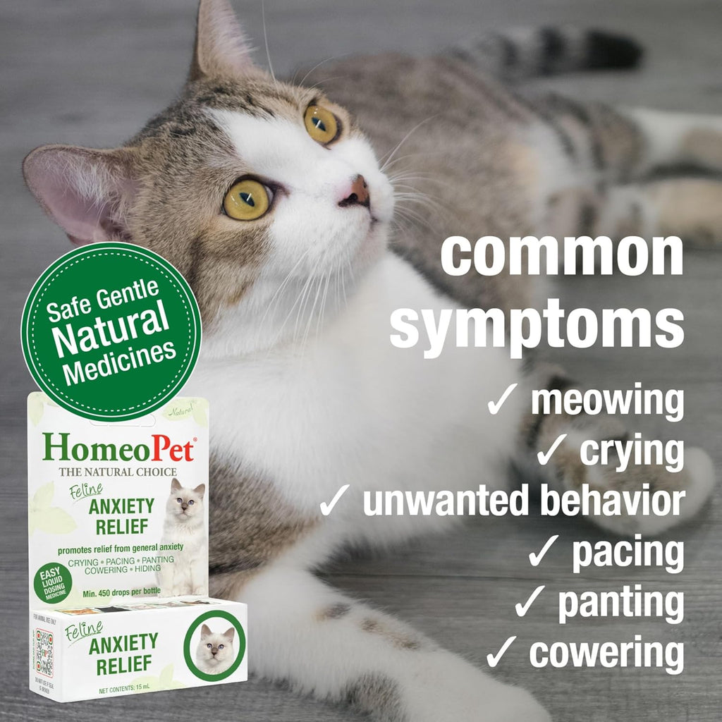 HomeoPet Feline Anxiety Relief dropper bottle showcasing dosage dispenser