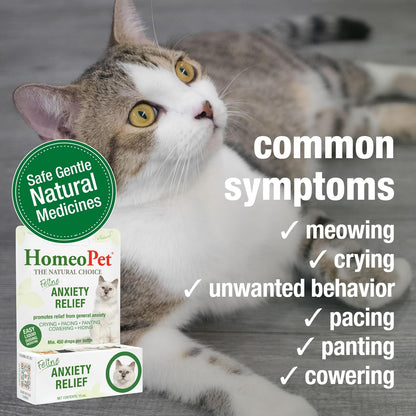HomeoPet feline calming medicine liquid drops side panel showing ingredients