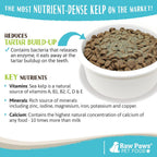 Pet owner sprinkling Raw Paws kelp powder on dog food