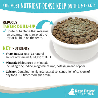 Pet owner sprinkling Raw Paws kelp powder on dog food