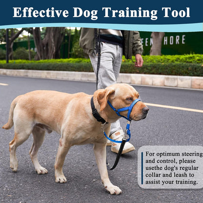 Owner using Barkless no pull head collar on large dog outdoors