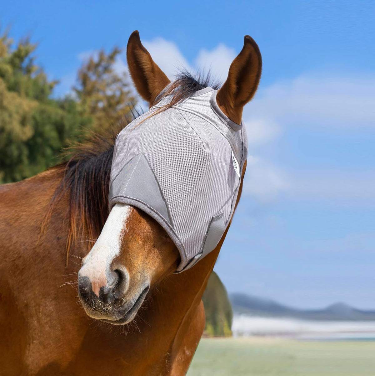 Raelitego Horse Fly Mask front view for large horses