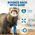 SunGrow breathable adhesive bandage wrapped around cat paw