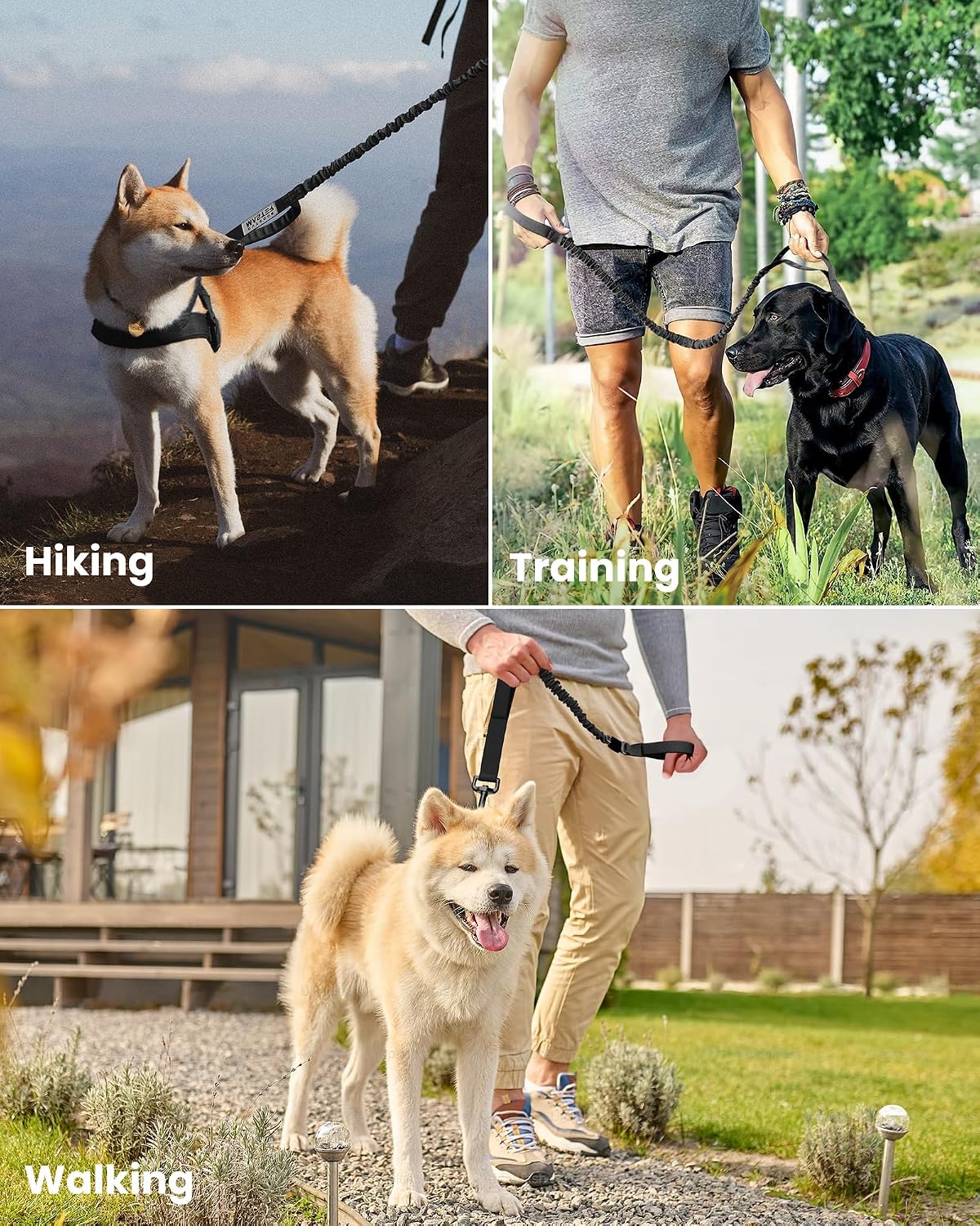Premium imported training leash with comfortable EVA padded traffic handle