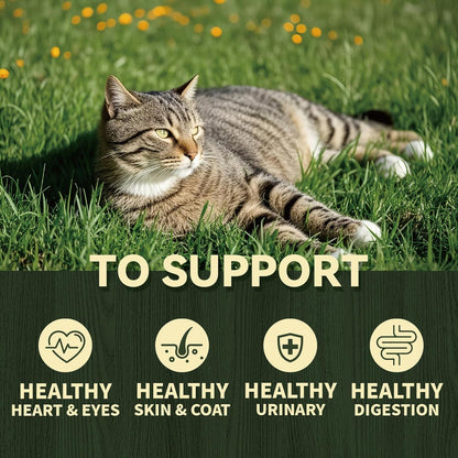 MordyLand slow roasted nutrient dense dry cat food packaging