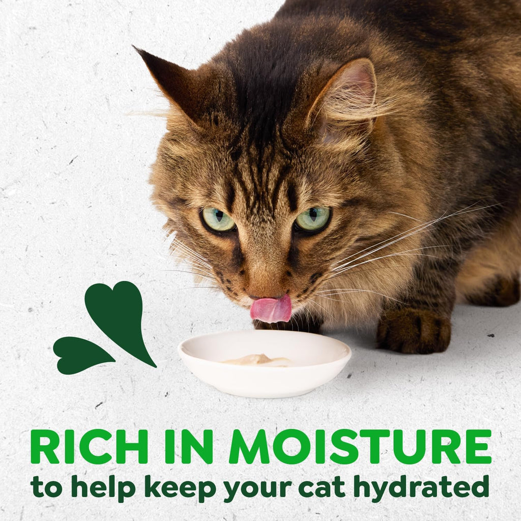 Cat enjoying Feline Greenies Smart Puree treat from a bowl