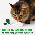 Cat enjoying Feline Greenies Smart Puree treat from a bowl