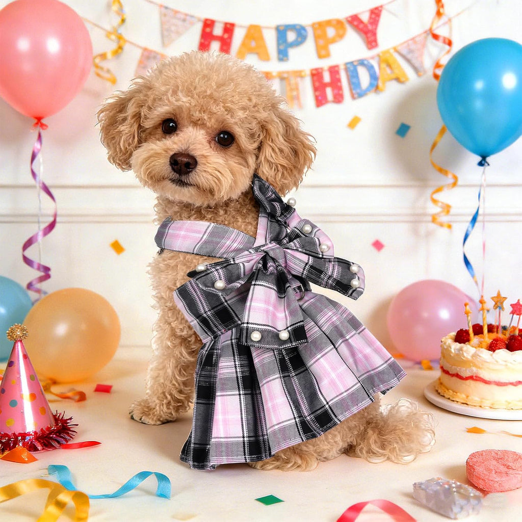 Complete packaging view including the plaid pet dress and coordinated nylon leash