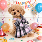 Complete packaging view including the plaid pet dress and coordinated nylon leash
