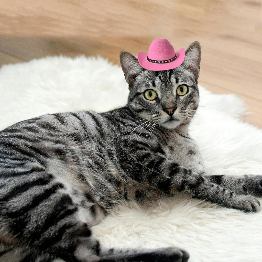 Small pink cowboy hat for pet costume accessories